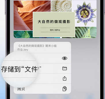 抚宁apple维修中心分享iPhone文件应用中存储和找到下载文件