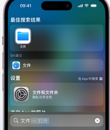 抚宁apple维修中心分享iPhone文件应用中存储和找到下载文件 