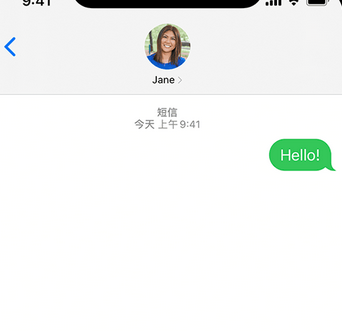 抚宁apple维修iPhone上无法正常发送iMessage信息