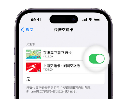 抚宁apple维修点分享iPhone上更换Apple Pay快捷交通卡手绘卡面 