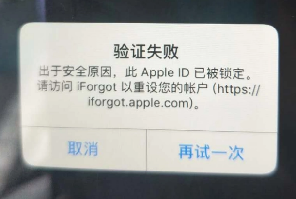 抚宁iPhone维修分享iPhone上正常登录或使用AppleID怎么办 