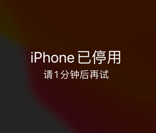 抚宁苹果手机维修分享:iPhone 显示“不可用”或“已停用”怎么办？还能保留数据吗？ 