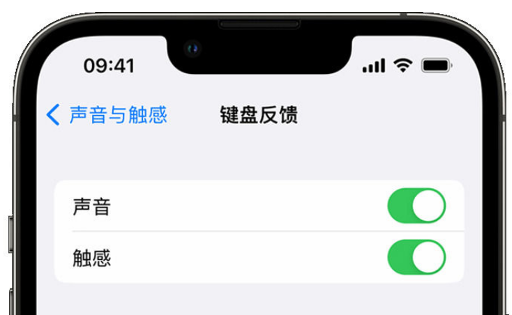 抚宁苹果手机维修分享iPhone 14触感键盘使用方法 