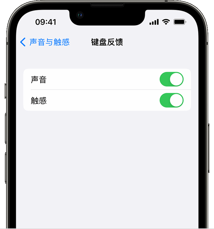 抚宁苹果14维修店分享如何在 iPhone 14 机型中使用触感键盘 