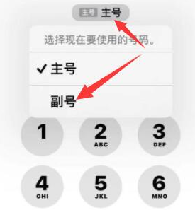 抚宁苹果14维修店分享iPhone 14 Pro Max使用副卡打电话的方法 