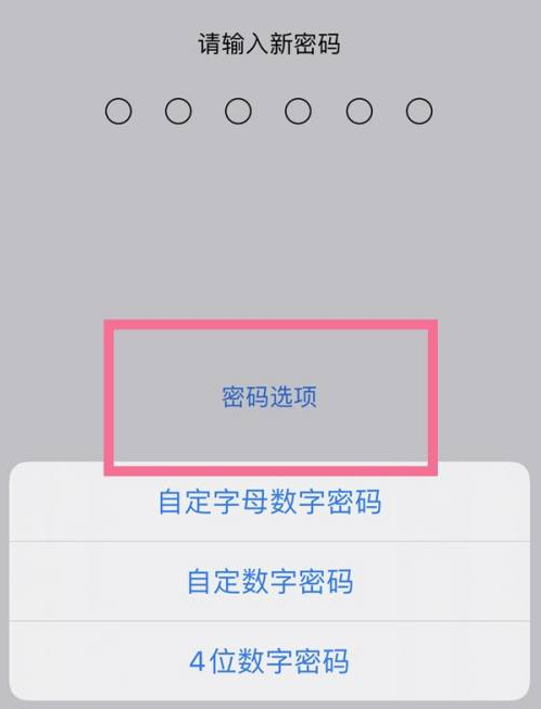 抚宁苹果14维修分享iPhone 14plus设置密码的方法 