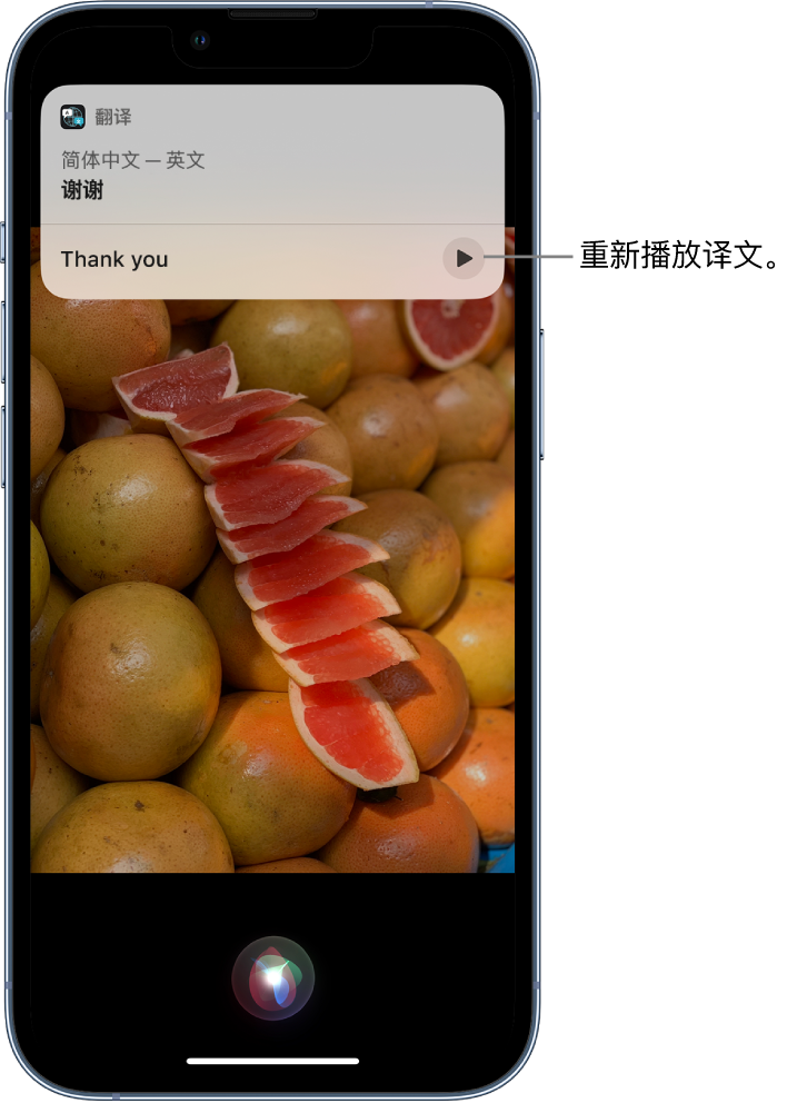 抚宁苹果14维修分享 iPhone 14 机型中使用 Siri：了解 Siri 能帮你做什么 