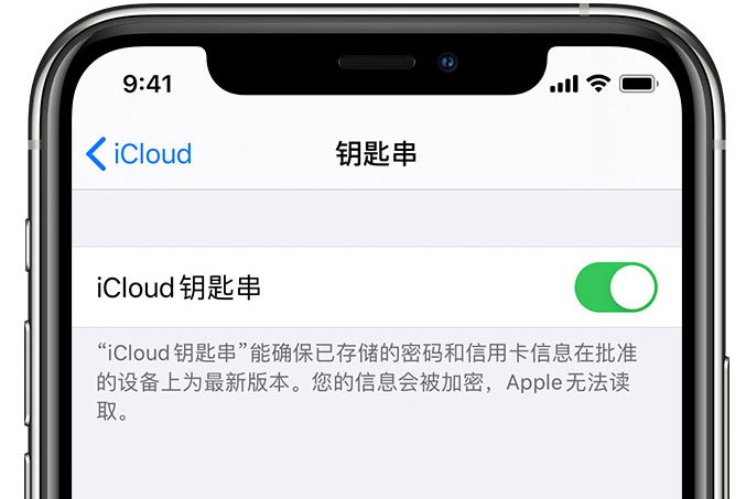 抚宁苹果手机维修分享在 iPhone 上开启 iCloud 钥匙串之后会储存哪些信息 