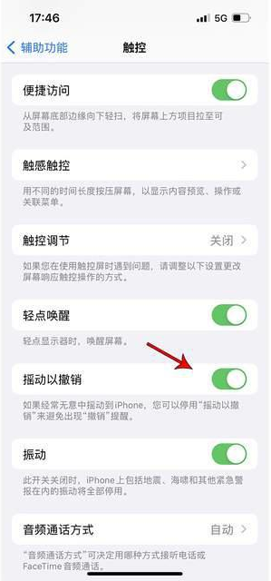 抚宁苹果手机维修分享iPhone手机如何设置摇一摇删除文字 